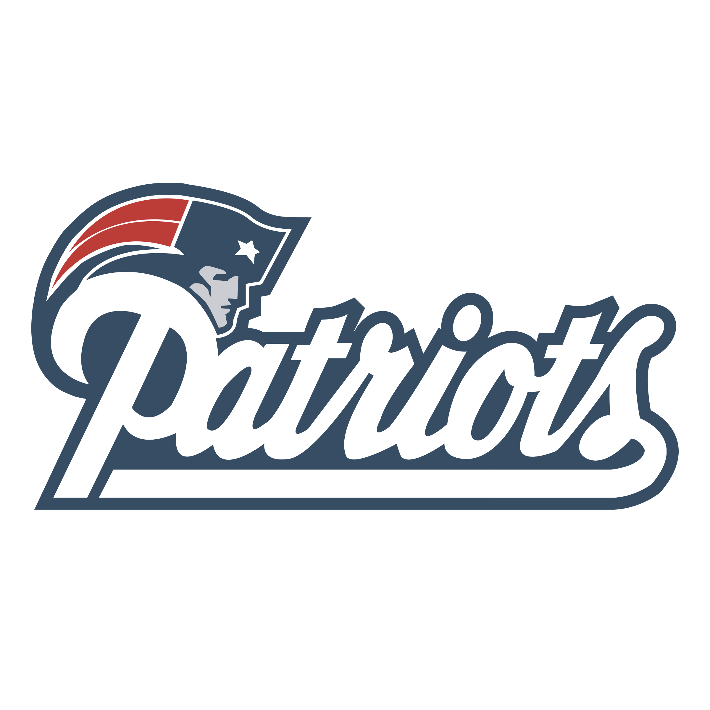 Patriots logo