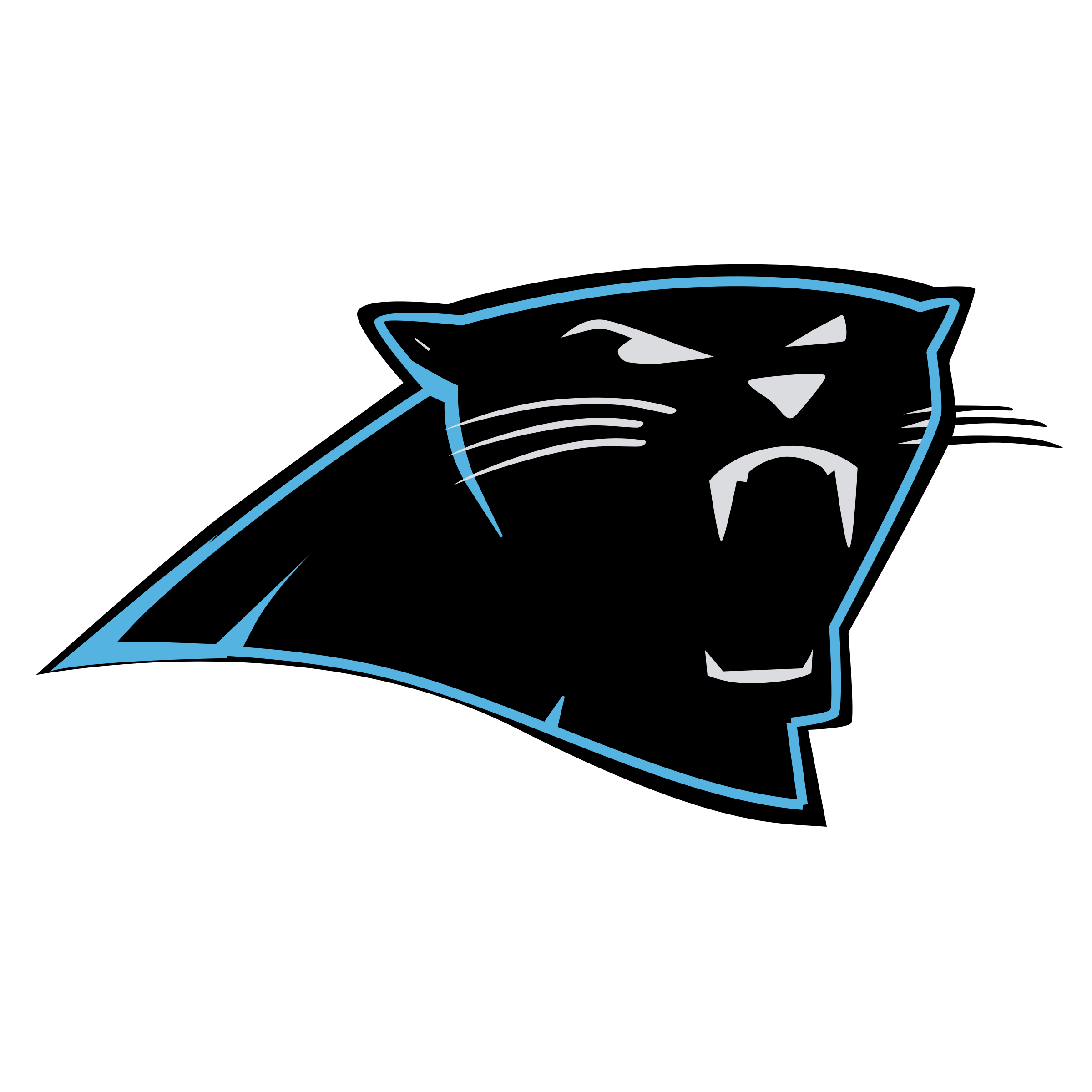Panthers logo